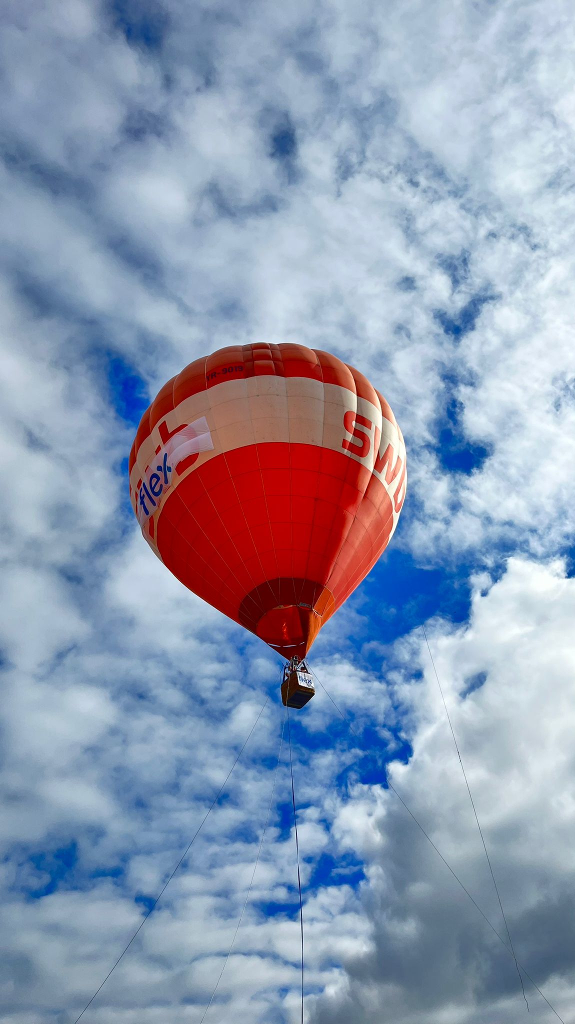 Balon cu aer cald la Flight Festival 2022 Flex Romania
