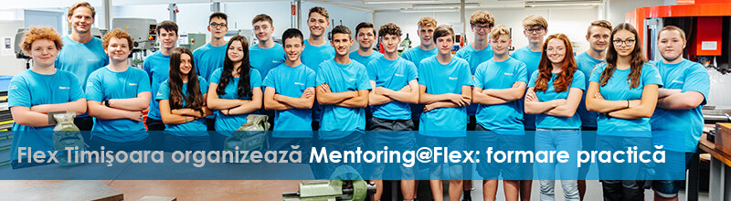 Flex Timisoara lanseaza Mentoring@Flex: formare practica