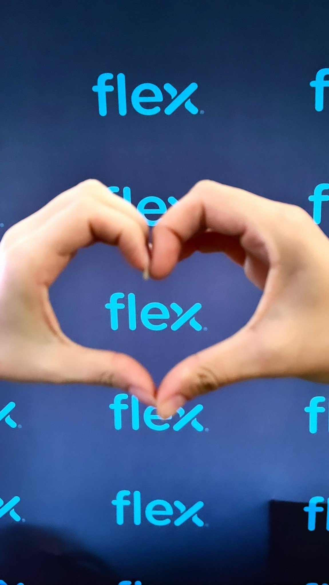 Flex la Flight Festival 2022 Flex Romania