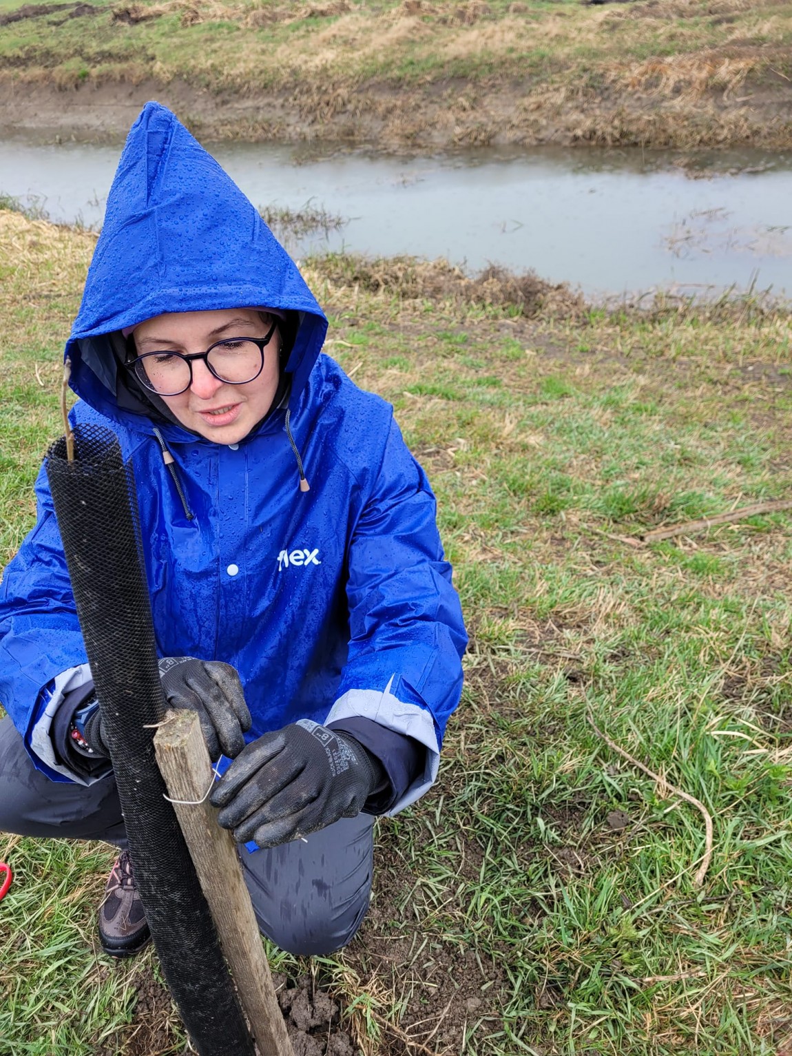 Reconstrucţia ecologică a habitatului pentru Dumbrăveancă, aprilie 2022 Flex Romania