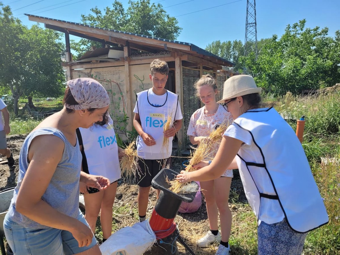 Atelier de tencuit cu pământ în grădinile comunitare din Timişoara Flex Romania