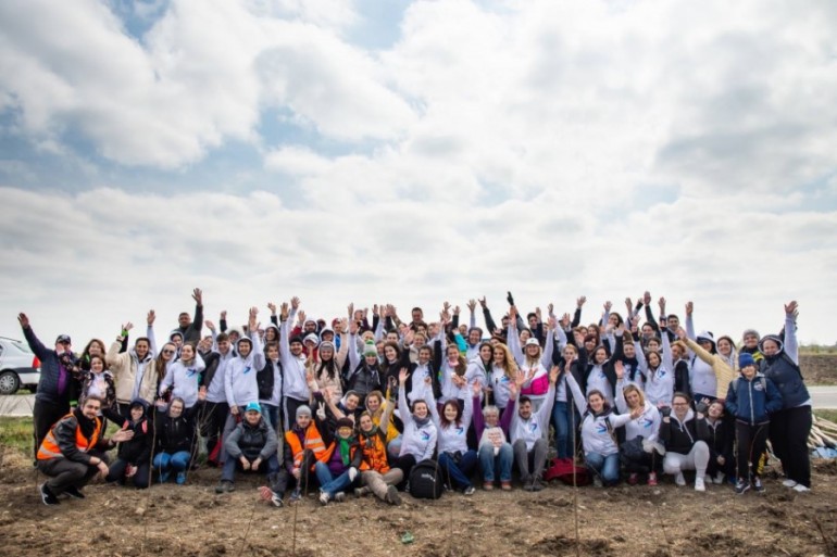 Accenture | Tree planting  Accenture Romania