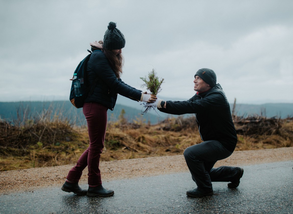 Forestation MHP - A Porsche Company