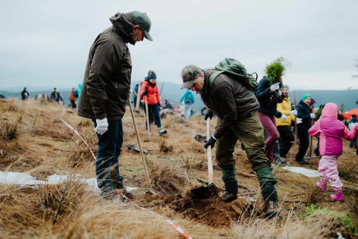 Forestation MHP - A Porsche Company