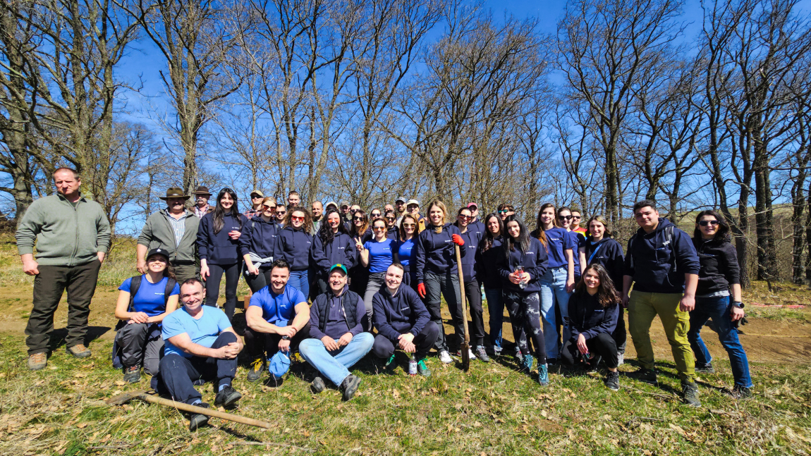  BearingPoint Romania