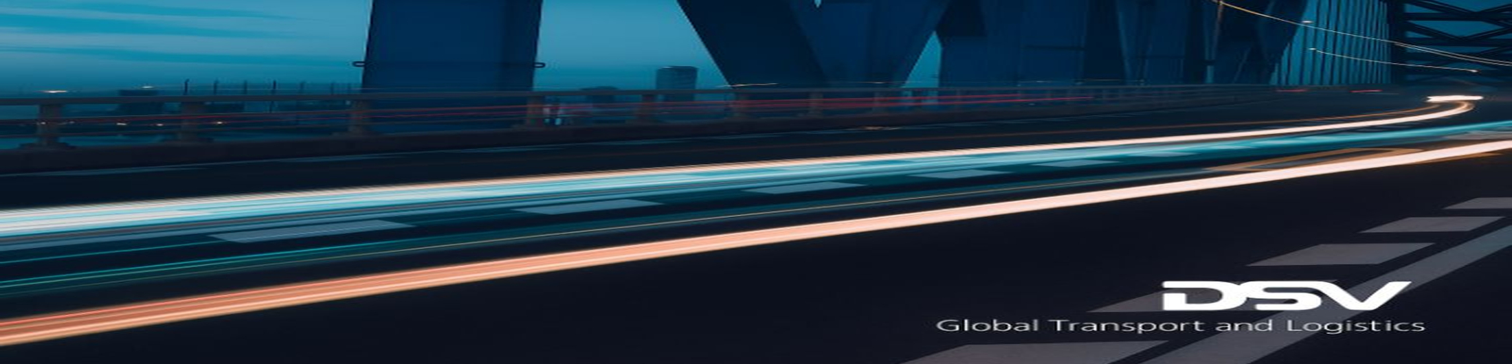 DSV Global Business Services