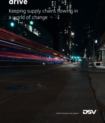 DSV Global Business Services